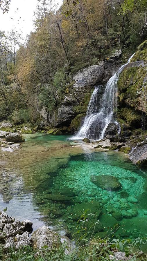 Hisa Lojz Zaga Exterior foto