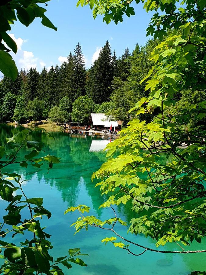 Hisa Lojz Zaga Exterior foto